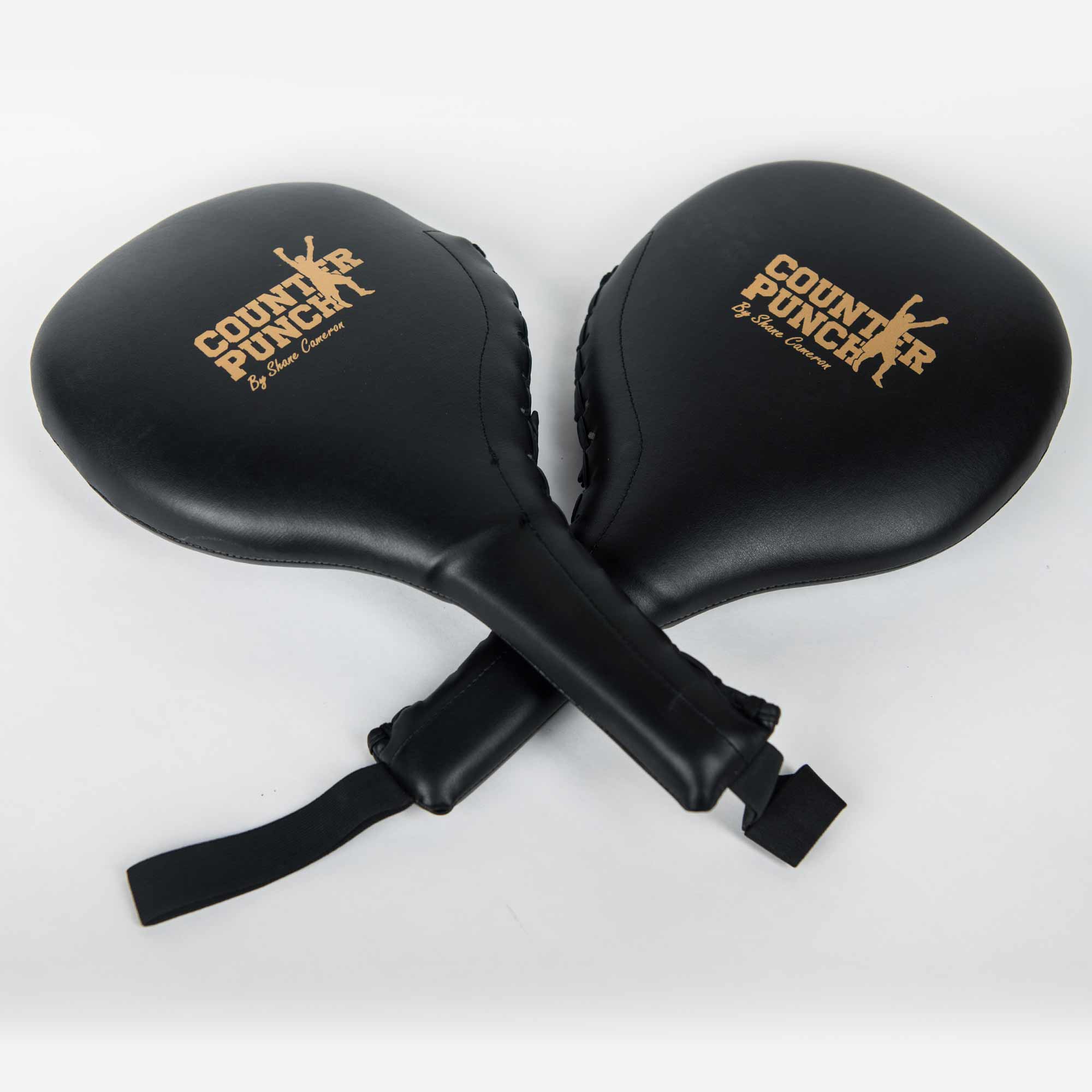 Boxing focus sale paddles